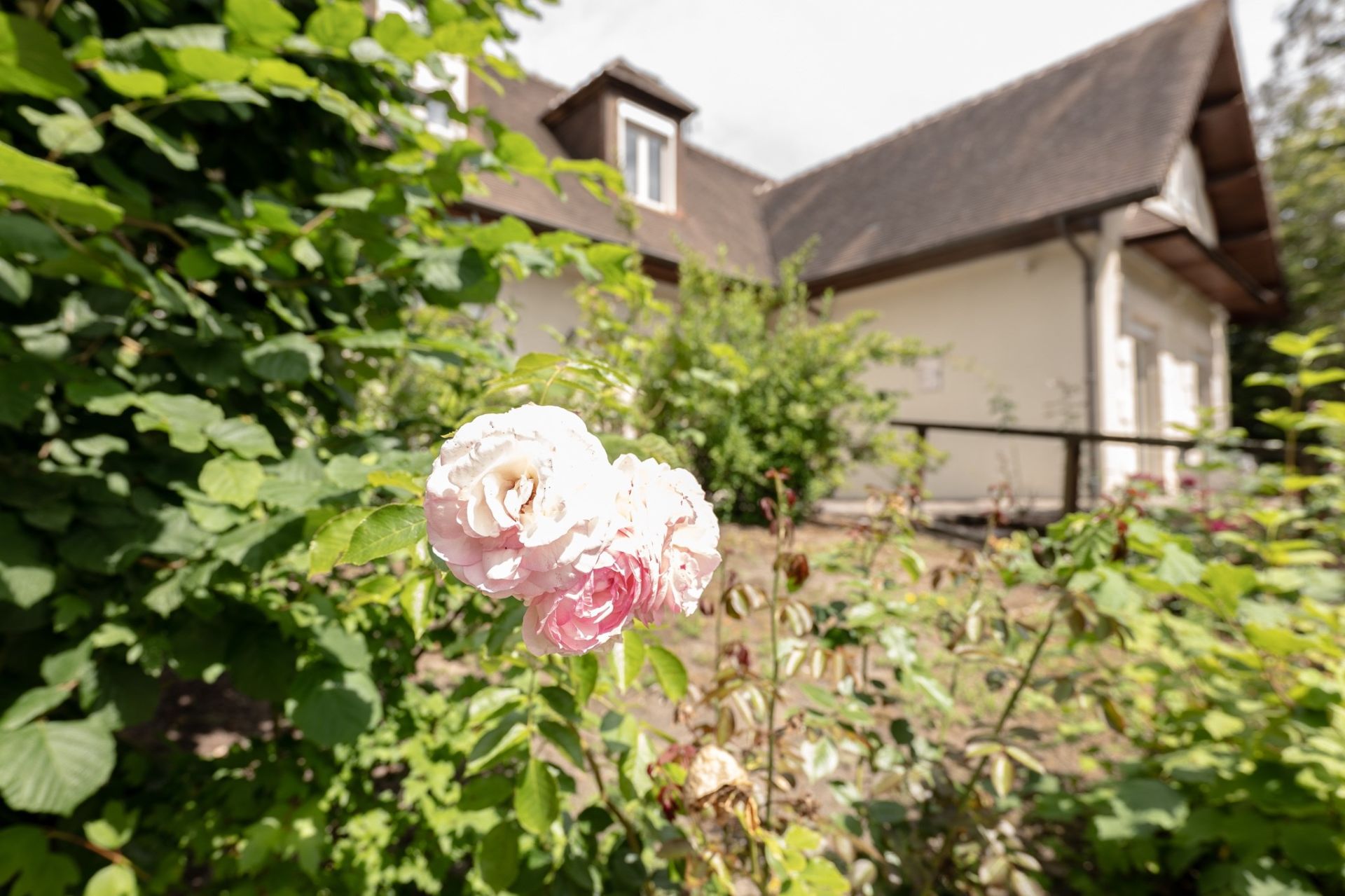 traditional house 6 rooms for sale on ROMORANTIN LANTHENAY (41200)