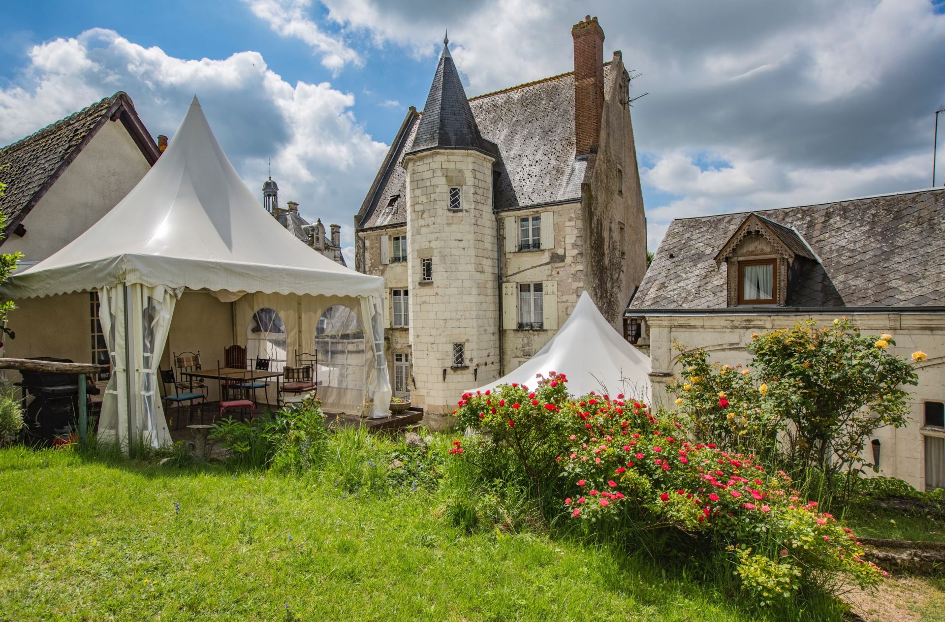 manor house 16 rooms for sale on MONTRICHARD VAL DE CHER (41400)